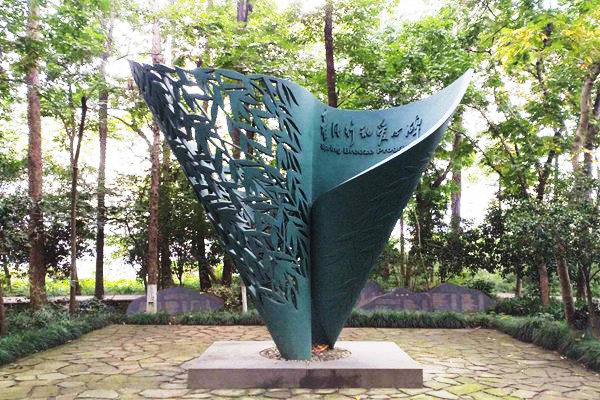 1579427710101770.jpg image006.jpg